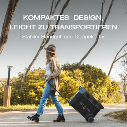 EF ECOFLOW DELTA Pro tragbare Powerstation 3600Wh, Solar Generator LiFePO4-Batterie mit 3600W AC Ausgängen, erweiterbare Stromversorgung bis zu 25kWh, Stromspeicher für Zuhause, Stromausfall, Reise